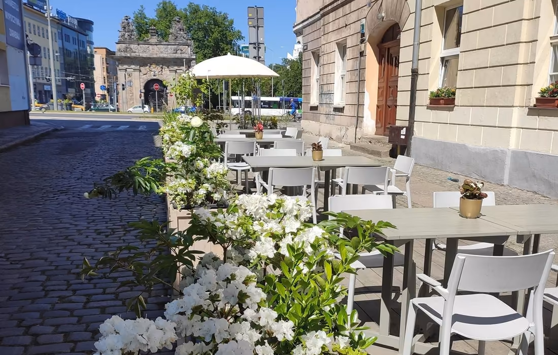 Ogródek restauracji na ulicy Mariackiej: stoliki i kwitnące białe azalie